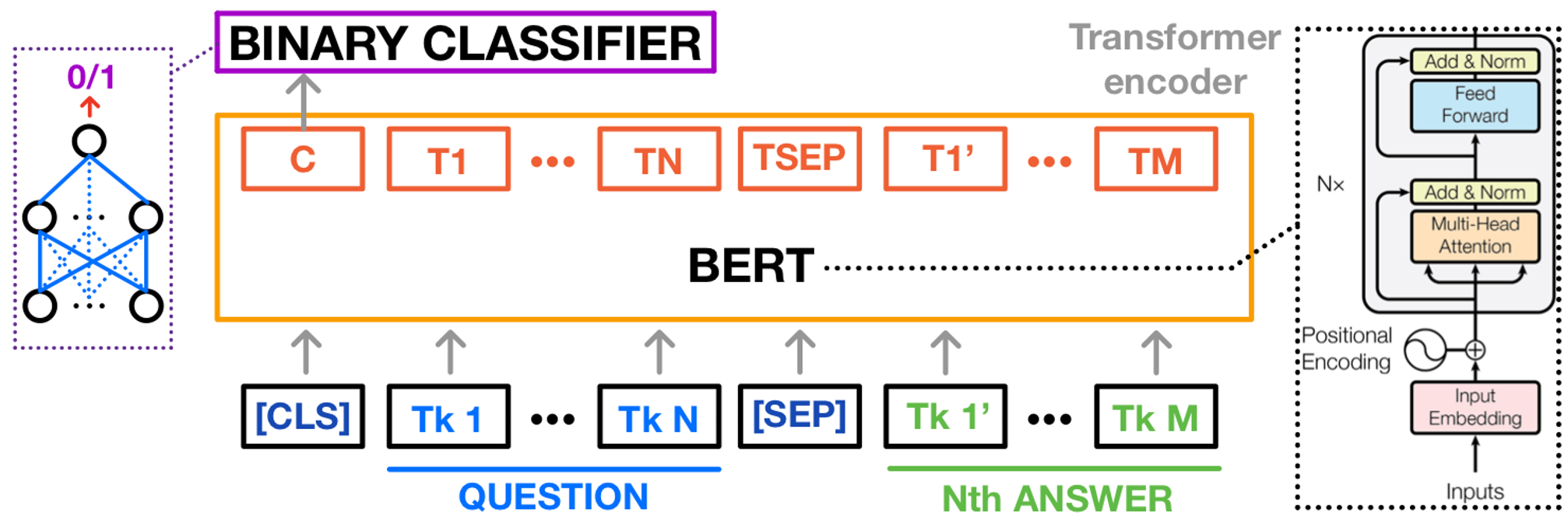 At the top, a binary classifier receives input from the [CLS] token of a BERT model. The BERT model processes input sequences including a classification token [CLS], question tokens, a separator token [SEP], and answer tokens. The BERT model consists of a transformer encoder, depicted as layers of multi-head attention and feed-forward neural networks with positional encoding. An inset on the right illustrates the internal structure of the transformer encoder.
